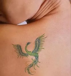 pre